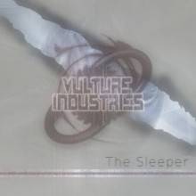 Vulture Industries : The Sleeper